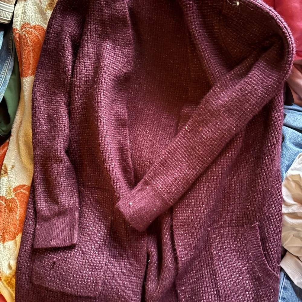 Time and Tru Plum Knit Sweater